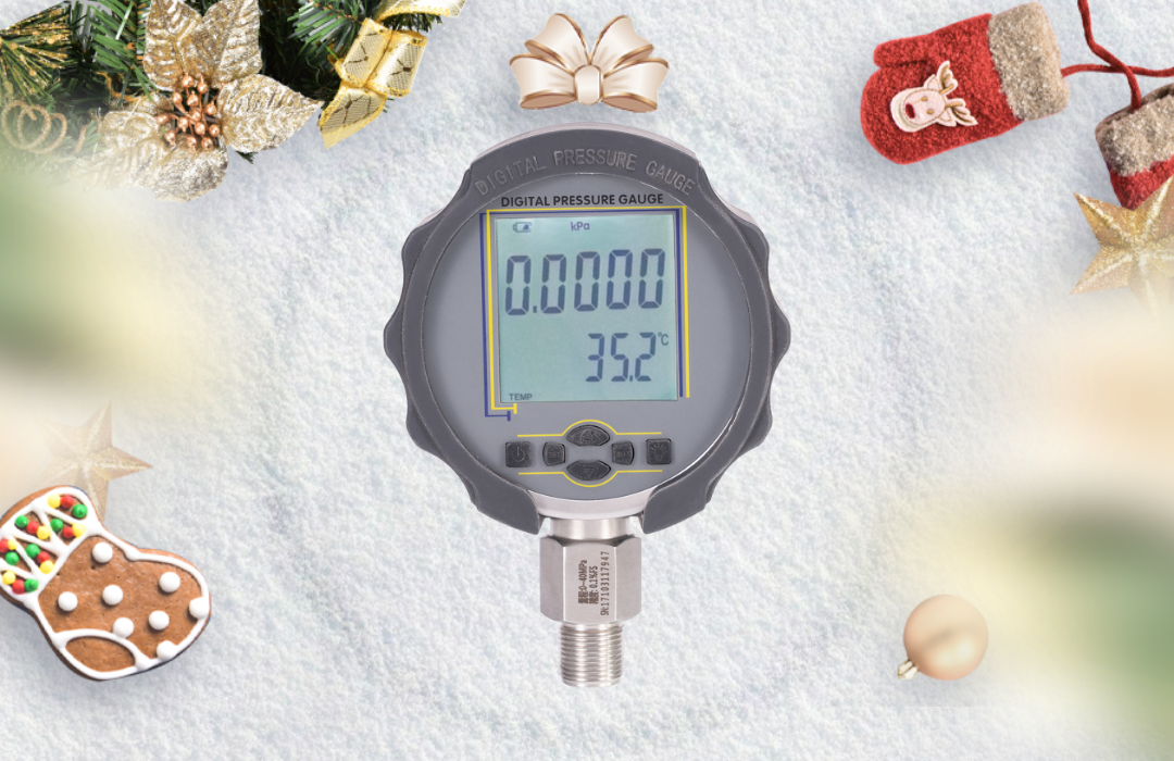 MD-S210 Digital Pressure Gauge