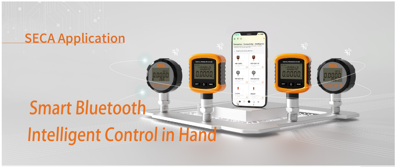 S261 SECA application